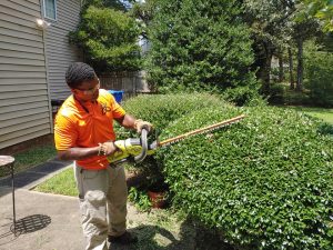 Landscaping near Del Rio Florida