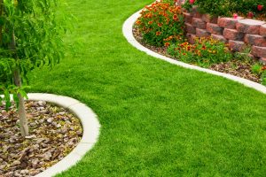Beauclerc Florida Landscaping