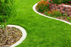 Landscaping near St. Johns Florida