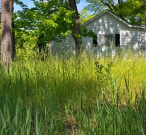 Landscaping near Sunbeam Florida